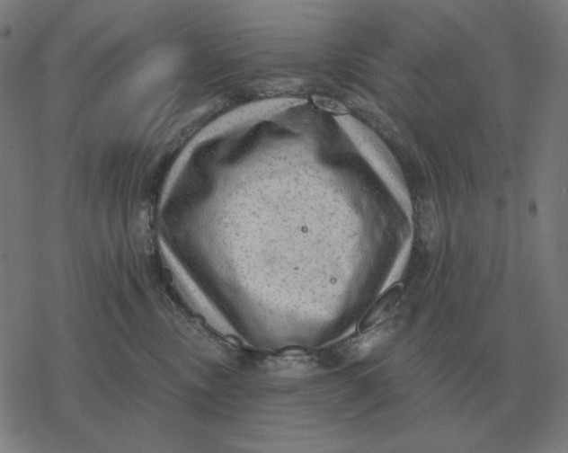 X0000077320378200611101504