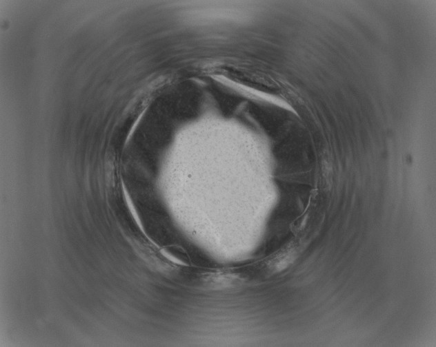 X0000077320379200611101504