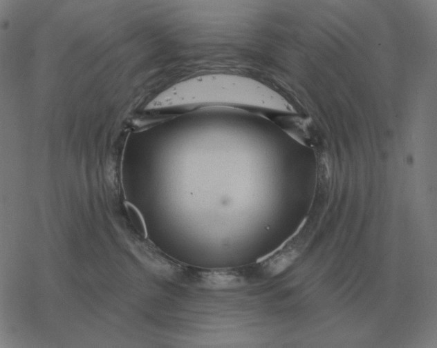 X0000077320380200611101504