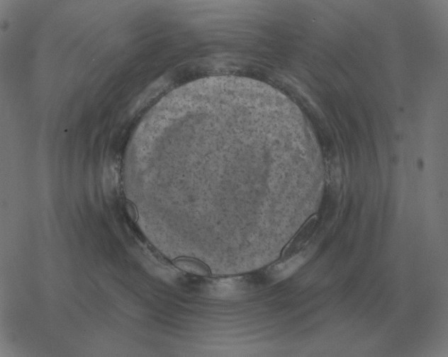 X0000077320382200611101504