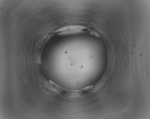 X0000077320384200611101504