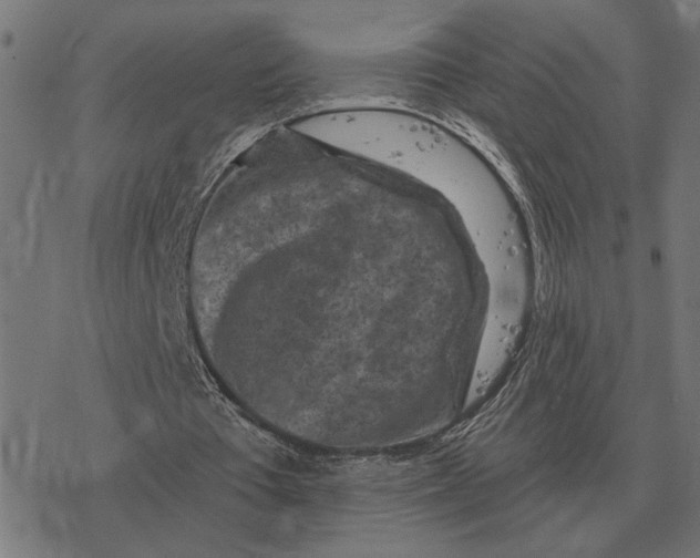 X0000077320385200611101503