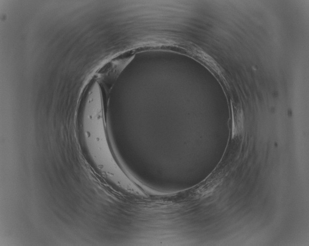 X0000077320387200611101503