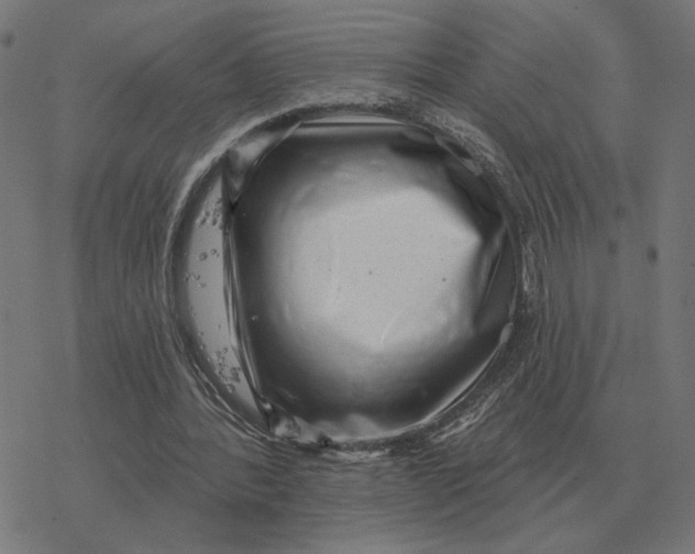 X0000077320388200611101503