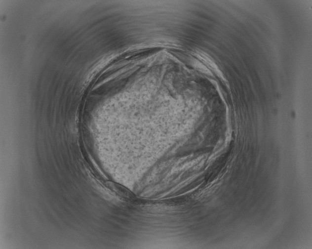 X0000077320389200611101503