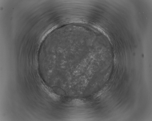 X0000077320390200611101503