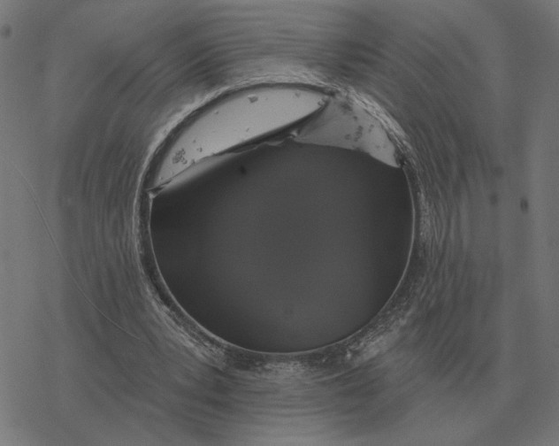 X0000077320391200611101503