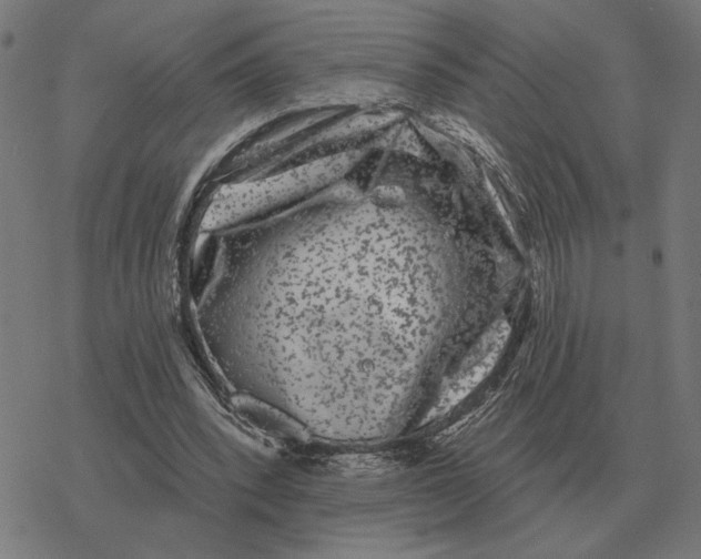 X0000077320392200611101503