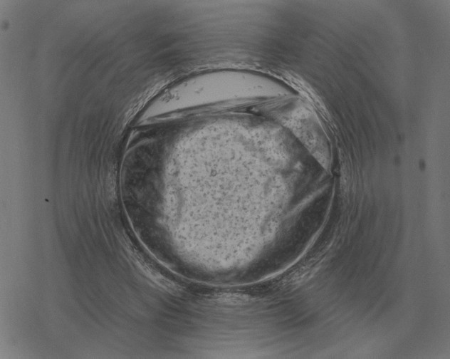 X0000077320393200611101503