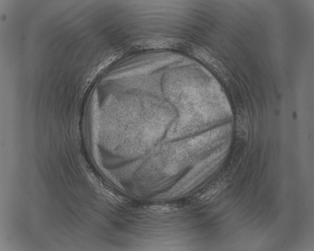 X0000077320394200611101503