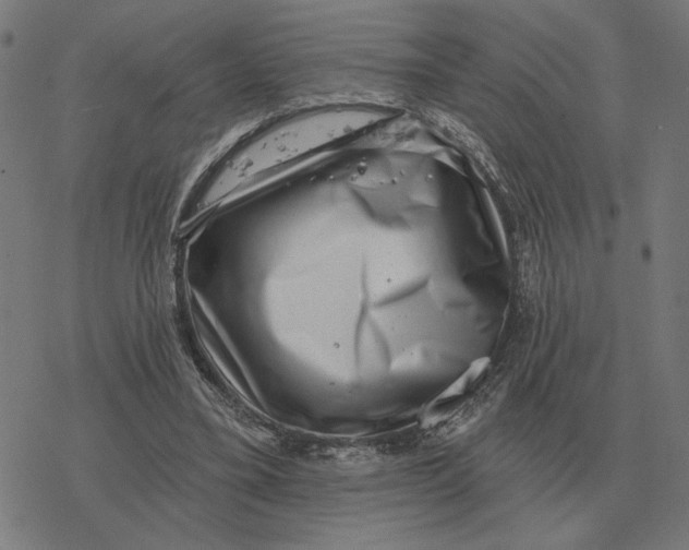 X0000077320395200611101503