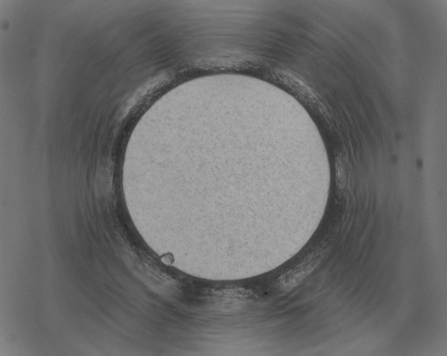 X0000077320396200611101503