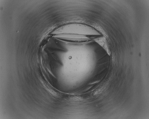 X0000077320397200611101503