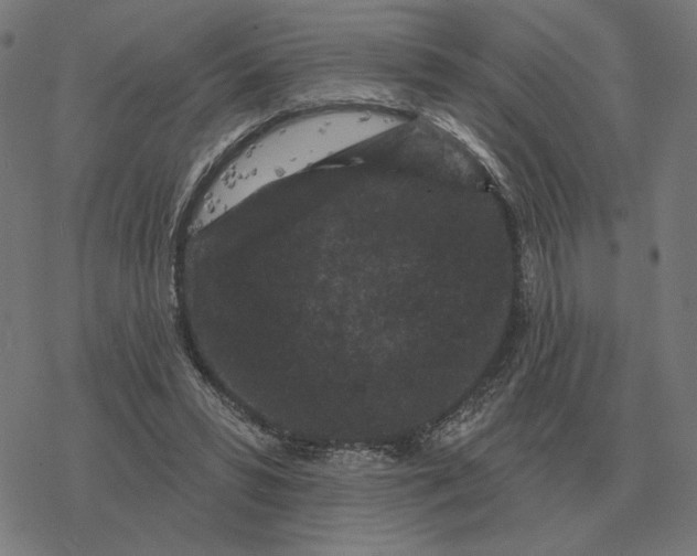 X0000077320399200611101503