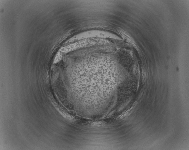 X0000077320401200611101503