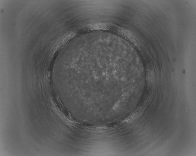 X0000077320402200611101503