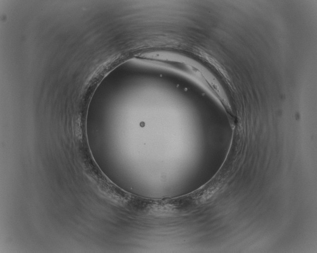 X0000077320403200611101503