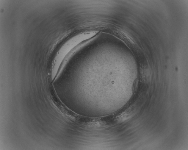 X0000077320404200611101503