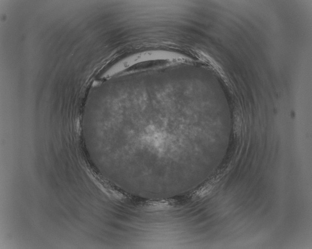 X0000077320405200611101503