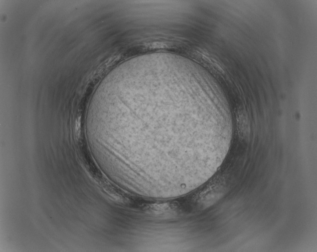 X0000077320406200611101503