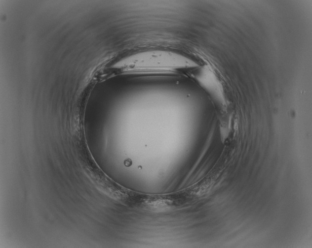 X0000077320407200611101503