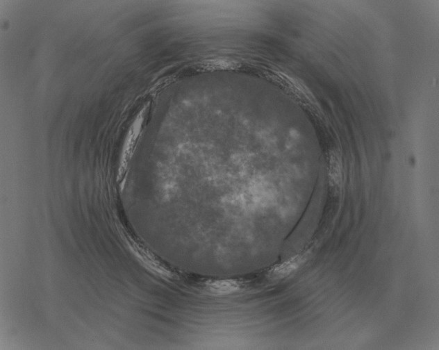 X0000077320409200611101503