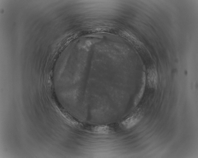 X0000077320410200611101503