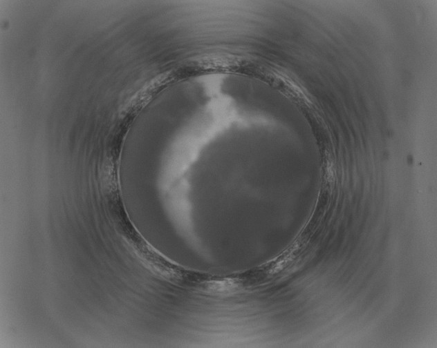 X0000077320411200611101503