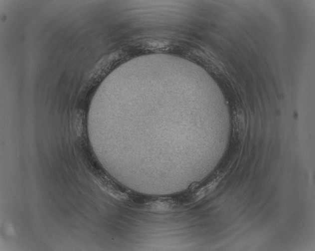 X0000077320412200611101503