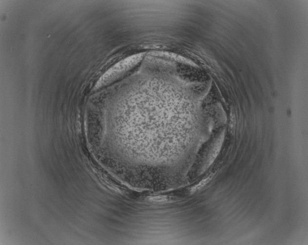 X0000077320413200611101503