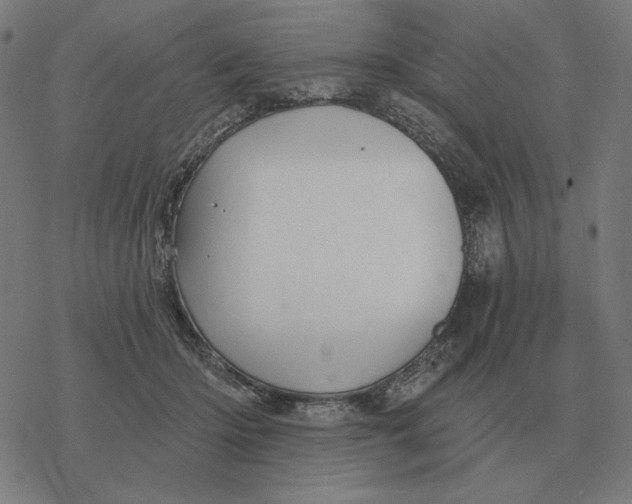 X0000077320414200611101503