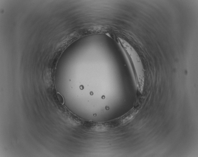 X0000077320416200611101503