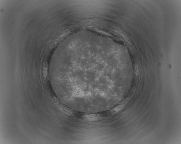 X0000077320417200611101503