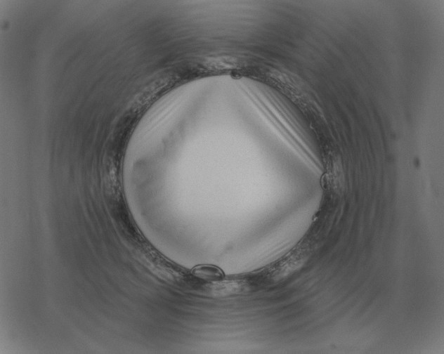 X0000077320418200611101503