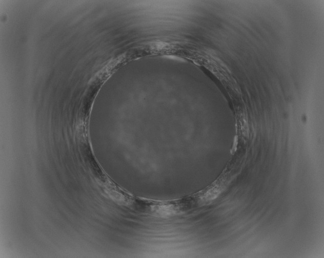 X0000077320419200611101503