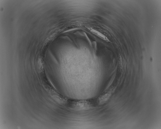 X0000077320420200611101503