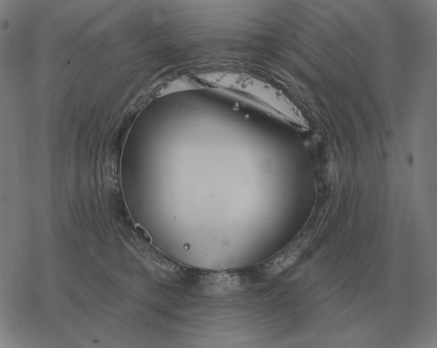 X0000077320421200611101503