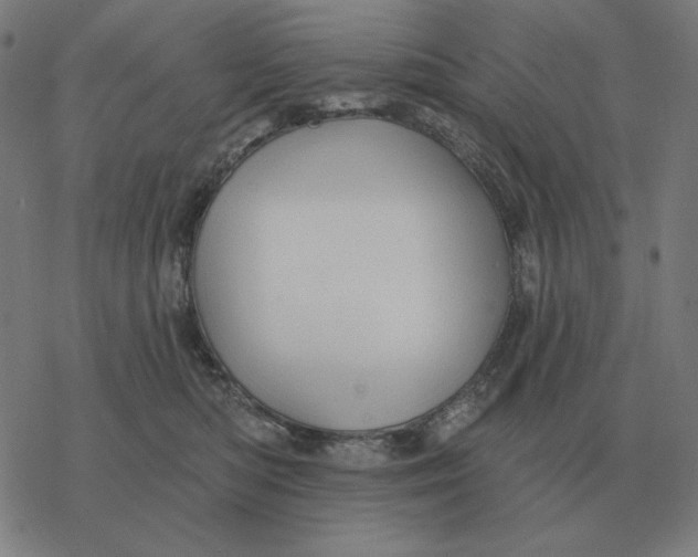 X0000077320422200611101503