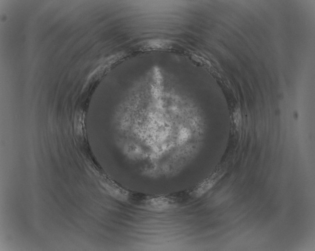 X0000077320423200611101503