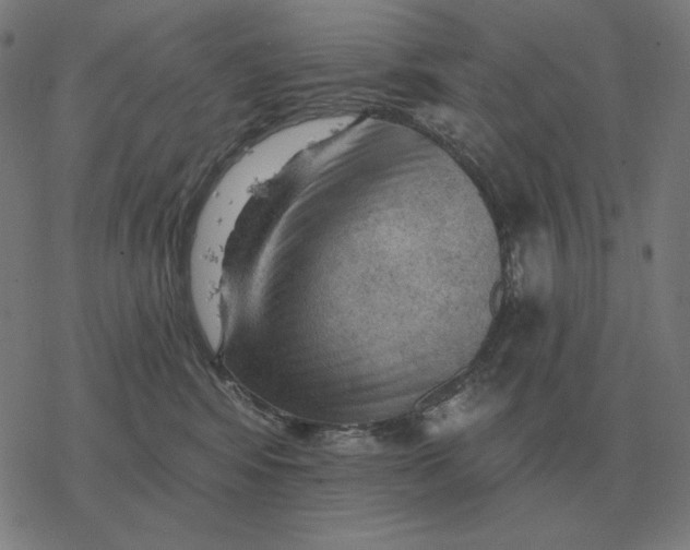 X0000077320424200611101503