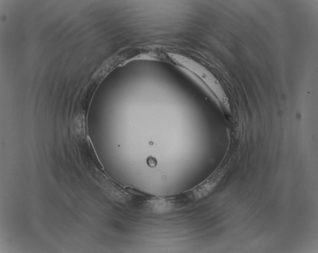 X0000077320425200611101503