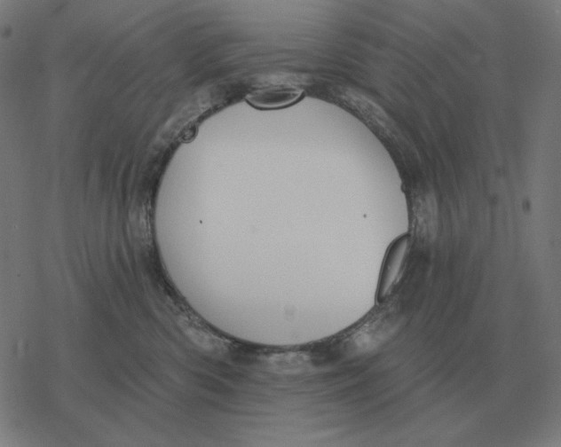 X0000077320426200611101503