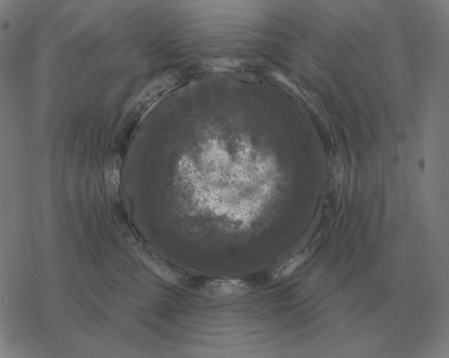 X0000077320427200611101503