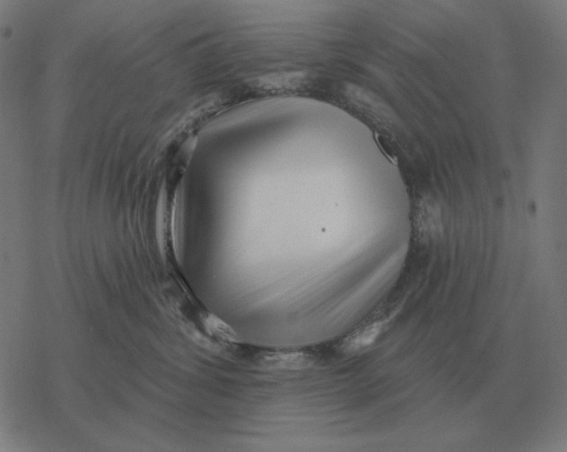 X0000077320428200611101503