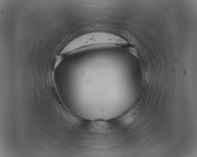 X0000077320429200611101503