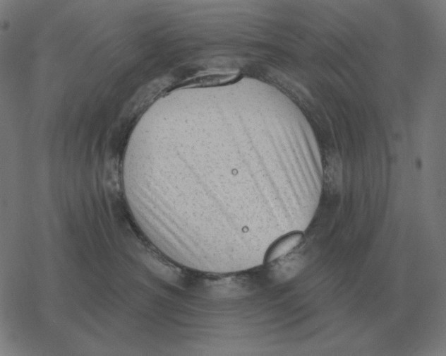 X0000077320430200611101503