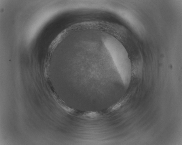 X0000077320431200611101503