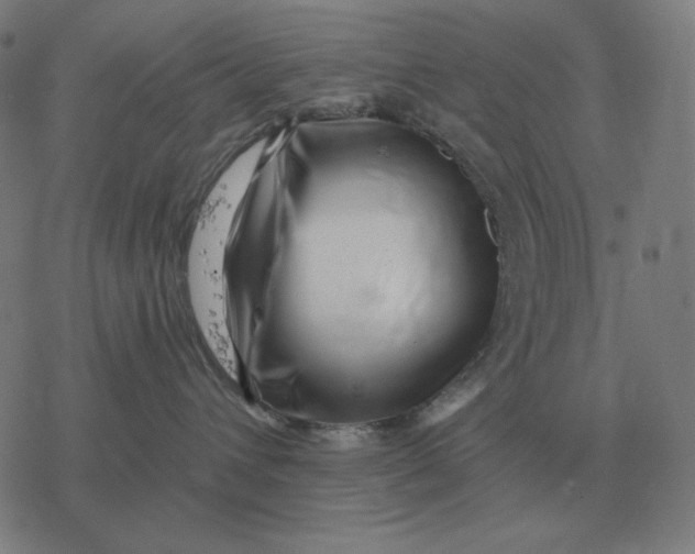 X0000077320432200611101503