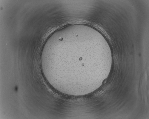 X0000077320433200611101502