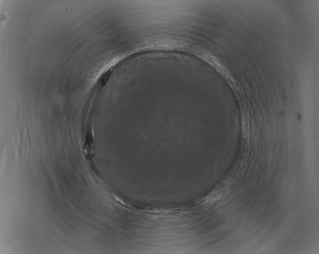 X0000077320434200611101502